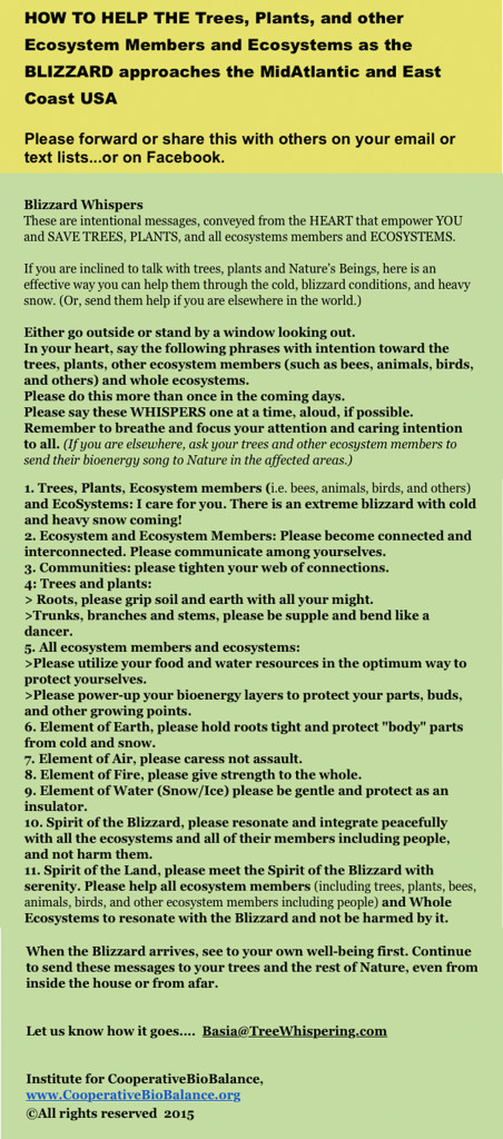 SBM Trees_edited-1